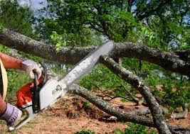 Best Soil Testing and Treatment  in Langley Park, MD