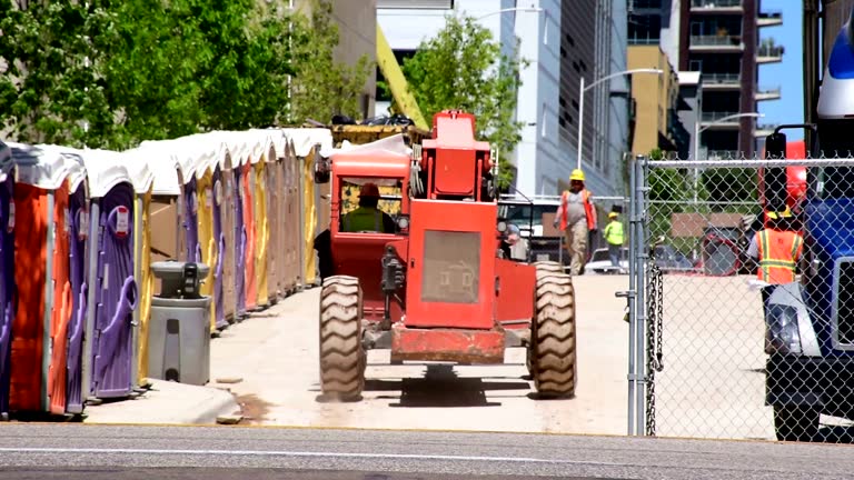 How Our Tree Care Process Works  in  Langley Park, MD